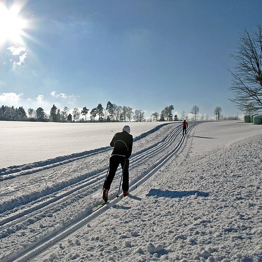 Auerhahn Loipe Tennenbronn 9