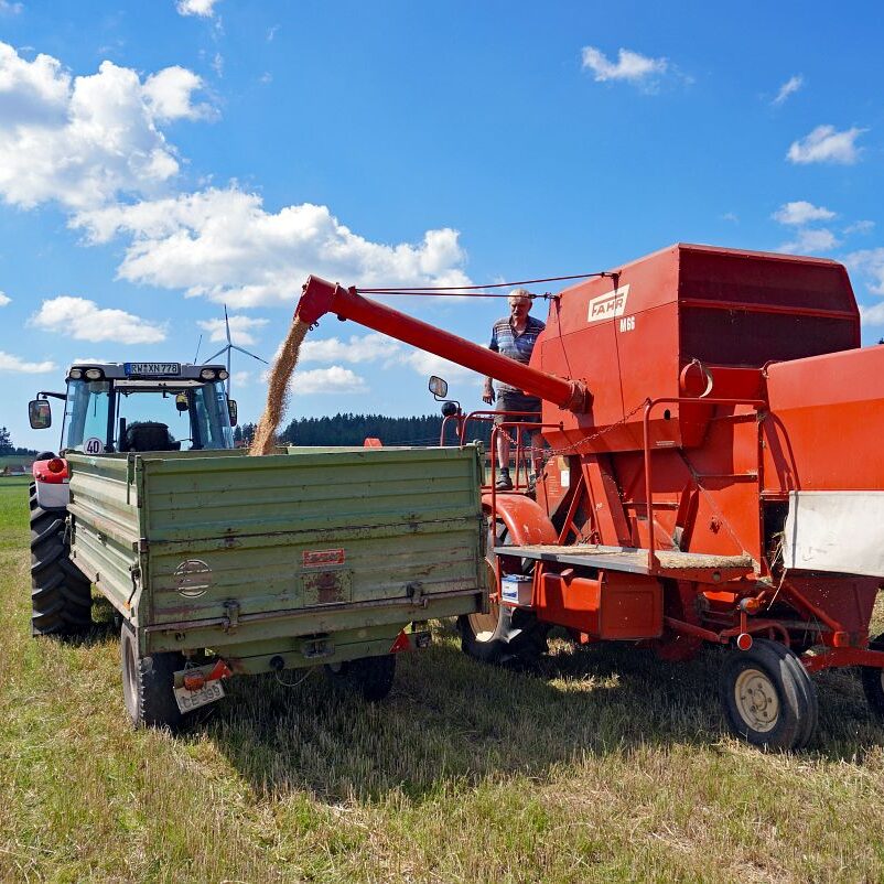 Getreideernte Tennenbronn 20