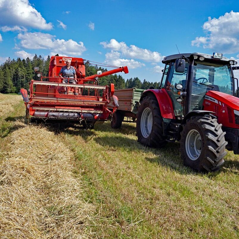 Getreideernte Tennenbronn 21