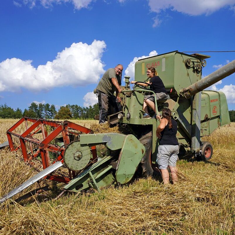 Getreideernte Tennenbronn 30