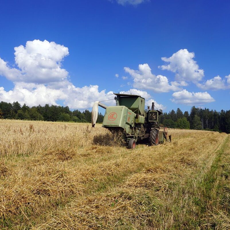 Getreideernte Tennenbronn 32