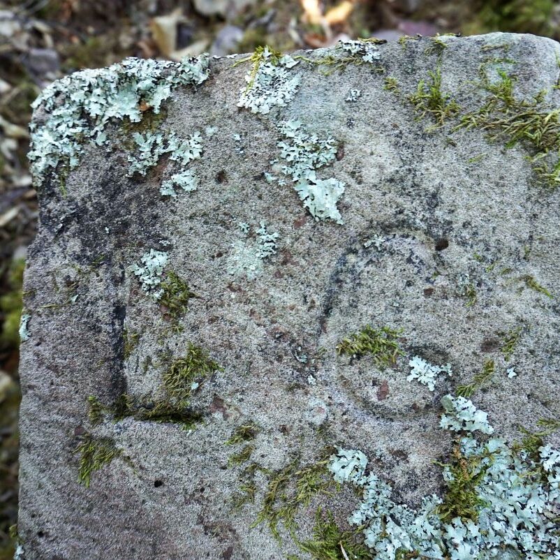 Grenzgang Berneck Kalter Graben 14