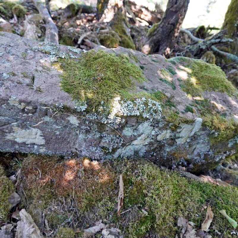 Grenzgang Berneck Kalter Graben 15