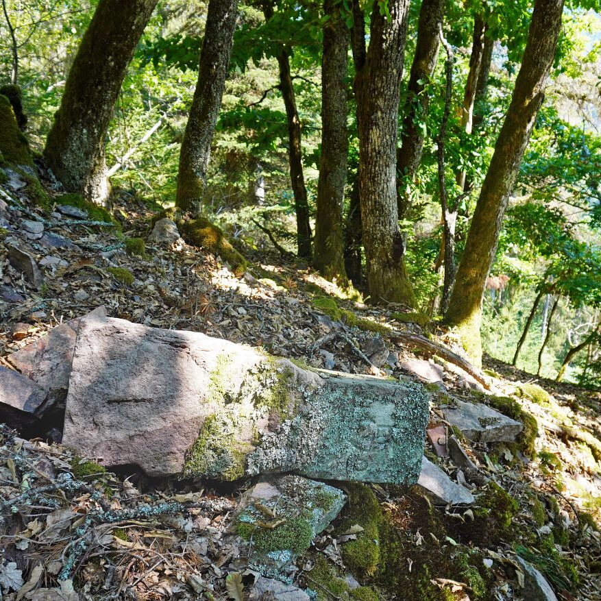 Grenzgang Berneck Kalter Graben 16