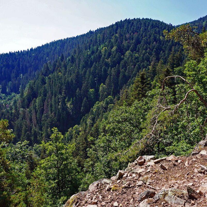 Grenzgang Berneck Kalter Graben 17