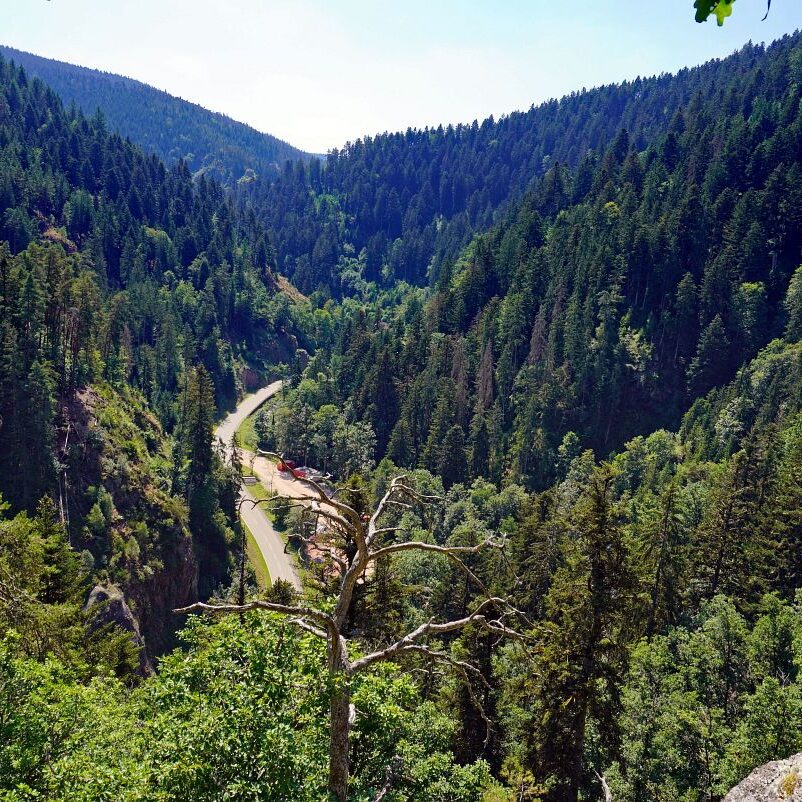 Grenzgang Berneck Kalter Graben 21
