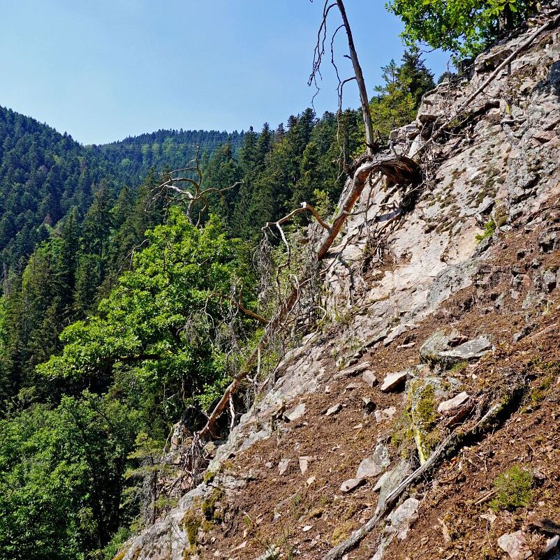 Grenzgang Berneck Kalter Graben 22
