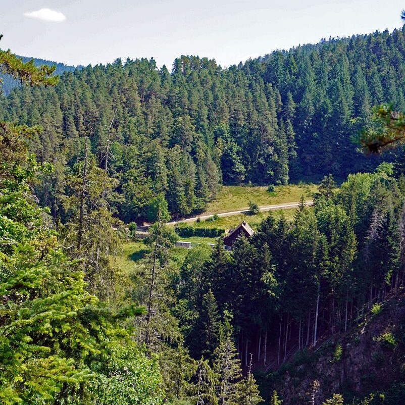 Grenzgang Berneck Kalter Graben 26