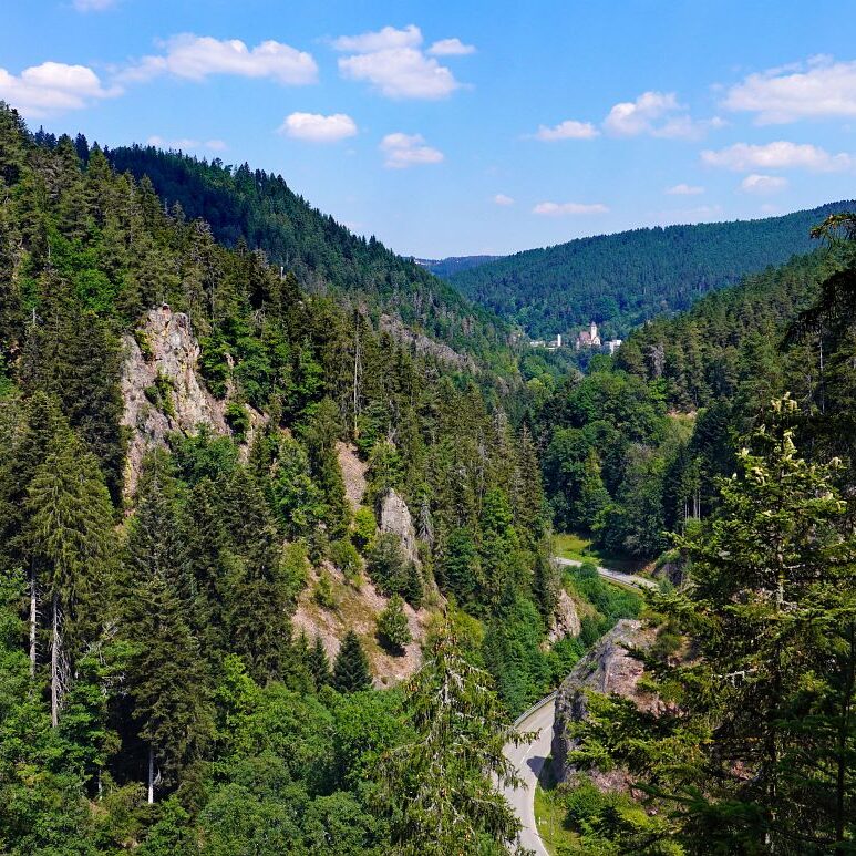 Grenzgang Berneck Kalter Graben 27