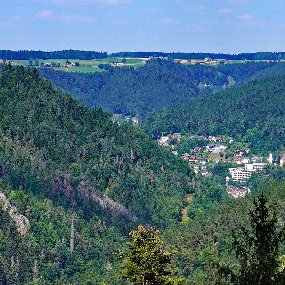 Grenzgang Berneck Kalter Graben 28