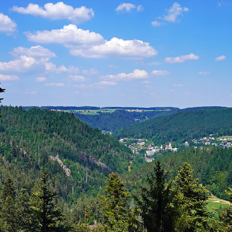 Grenzgang Berneck Kalter Graben 29