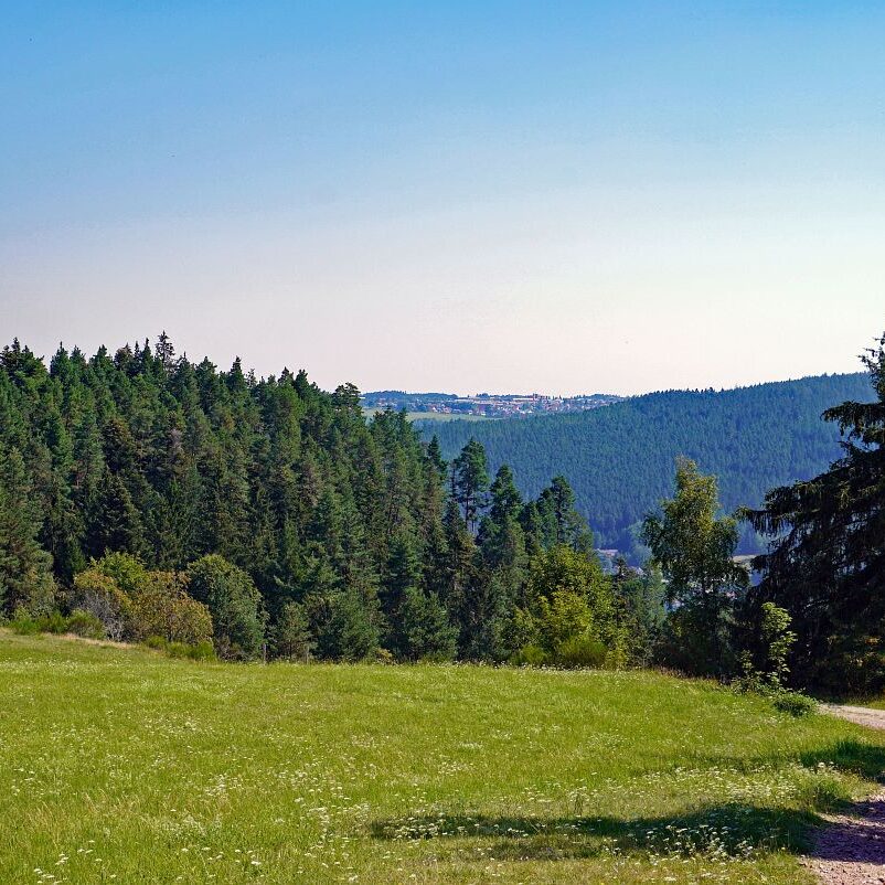 Grenzgang Berneck Kalter Graben 3
