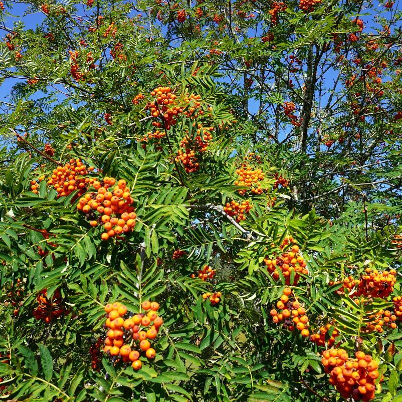 Grenzgang Berneck Kalter Graben 4