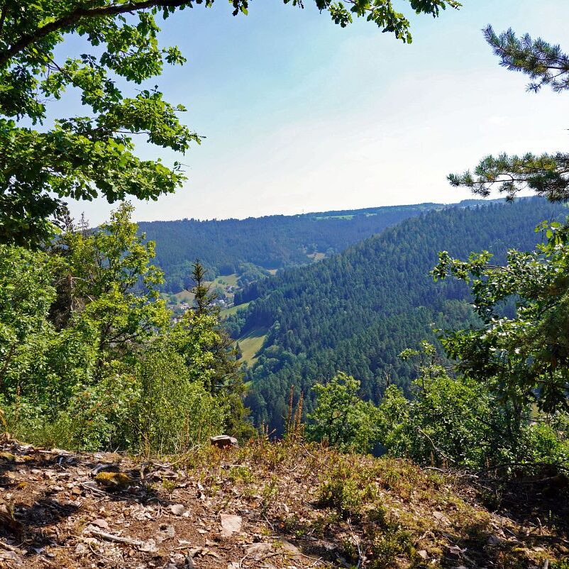 Grenzgang Berneck Kalter Graben 5