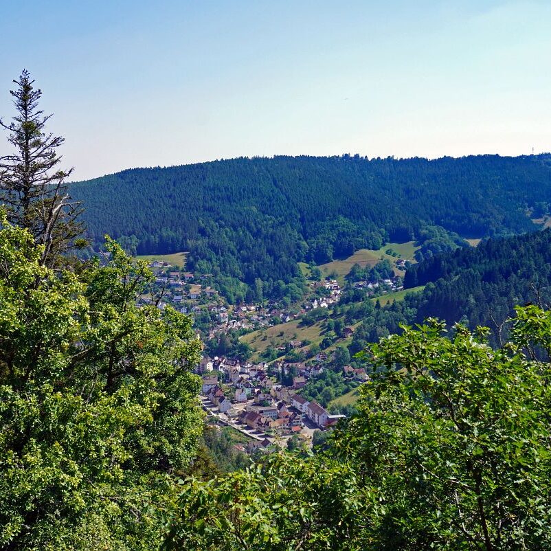 Grenzgang Berneck Kalter Graben 6