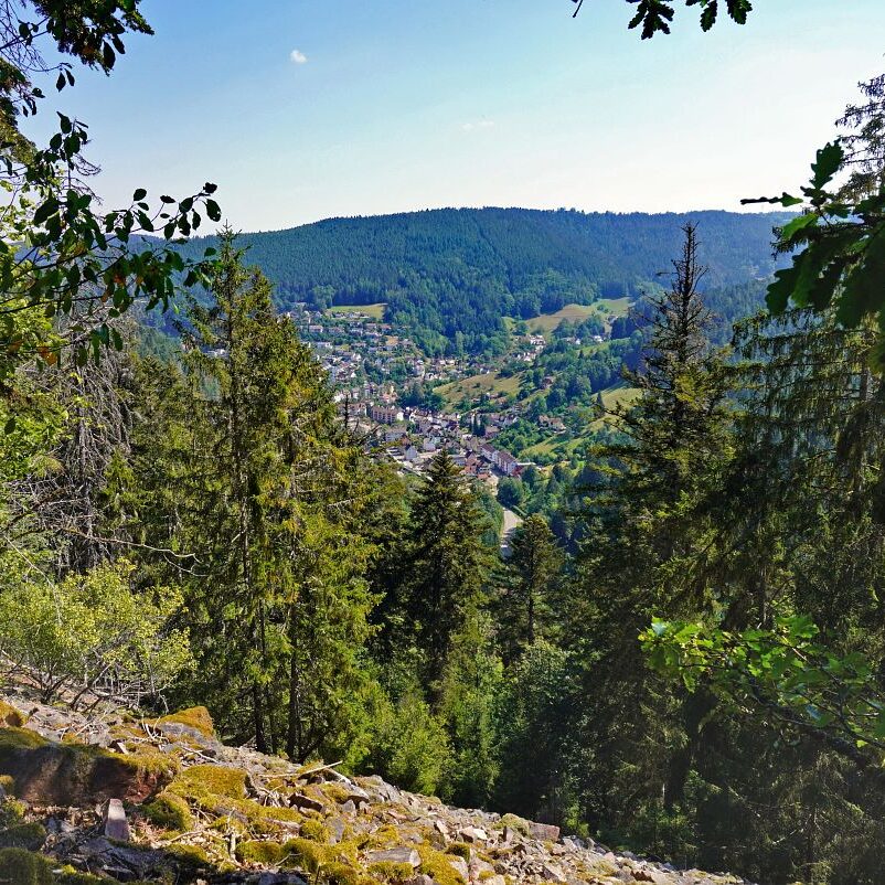 Grenzgang Berneck Kalter Graben 7