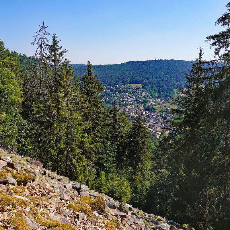 Grenzgang Berneck Kalter Graben 8