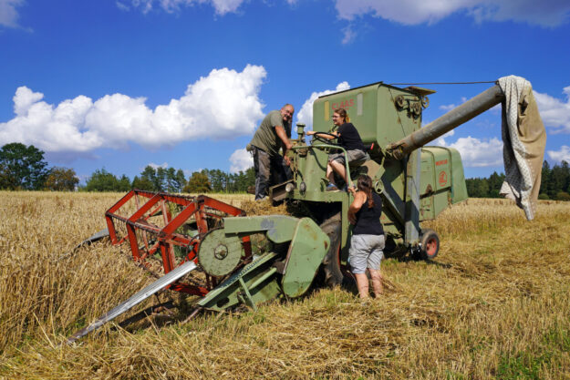 Getreideernte in Tennenbronn im Schwarzwald