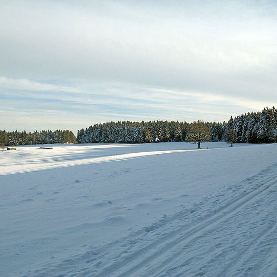 Ramstein Loipe Tennenbronn 11