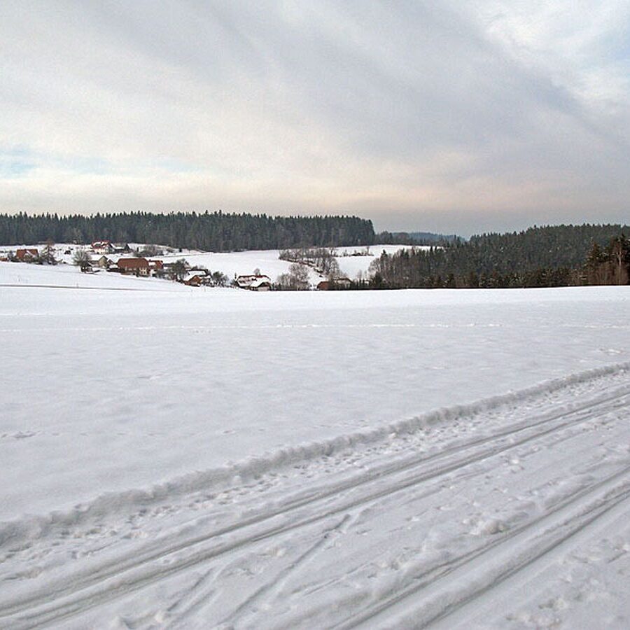 Ramstein Loipe Tennenbronn 12