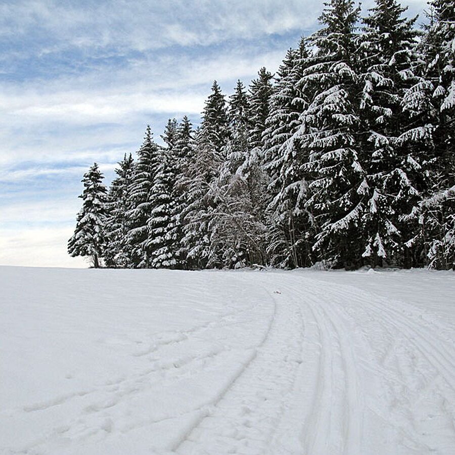 Ramstein Loipe Tennenbronn 17