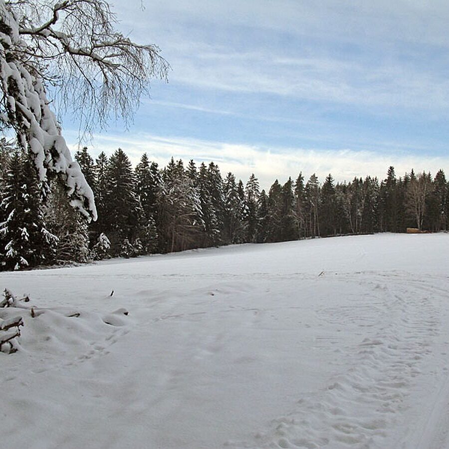 Ramstein Loipe Tennenbronn 18