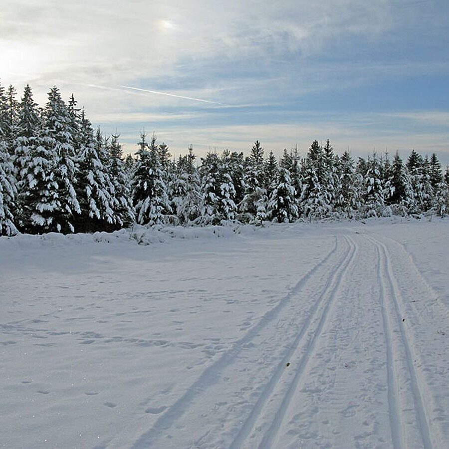 Ramstein Loipe Tennenbronn 19