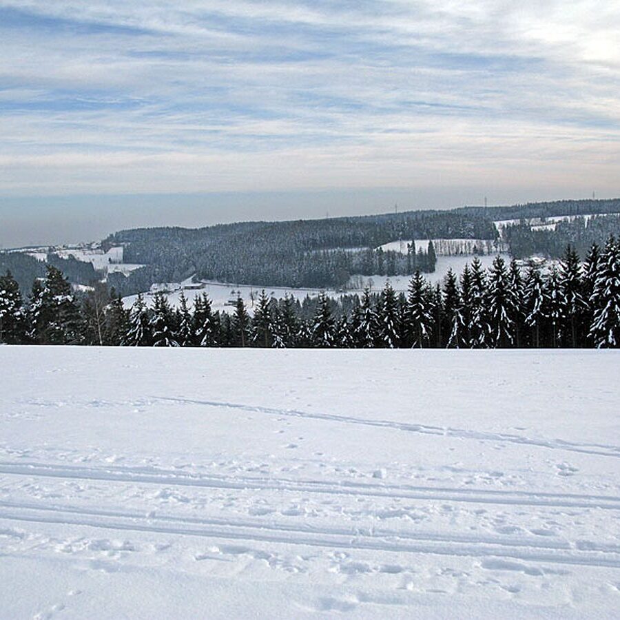 Ramstein Loipe Tennenbronn 20