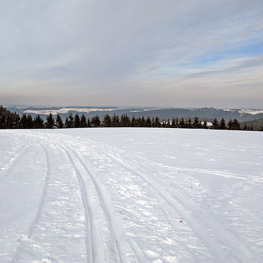 Ramstein Loipe Tennenbronn 21