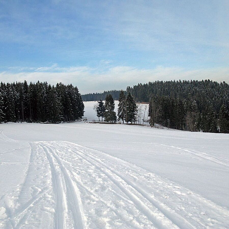 Ramstein Loipe Tennenbronn 22