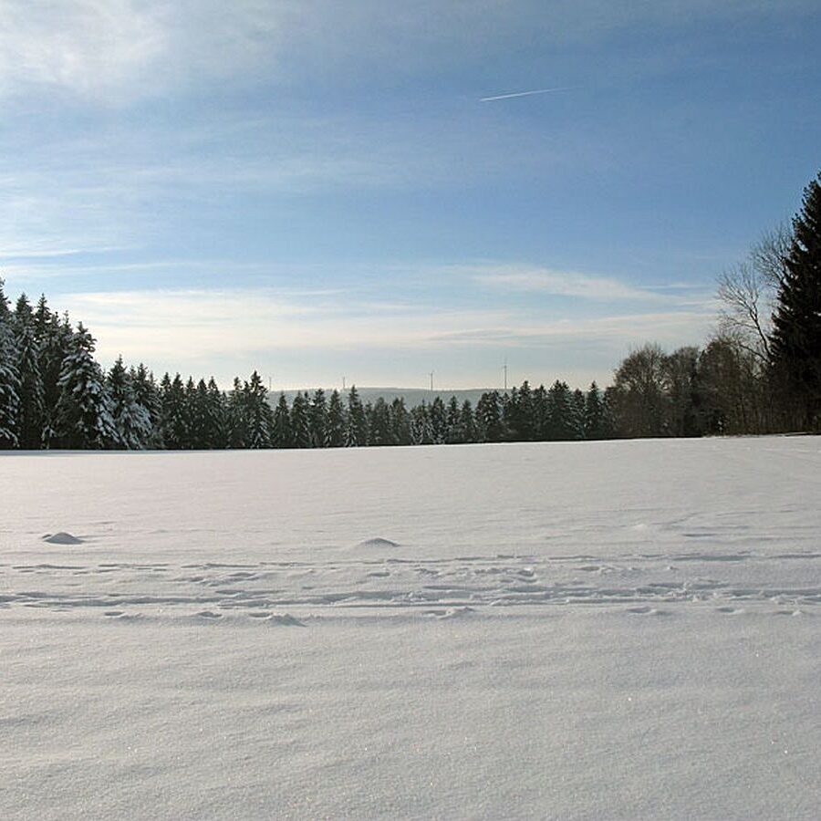 Ramstein Loipe Tennenbronn 3