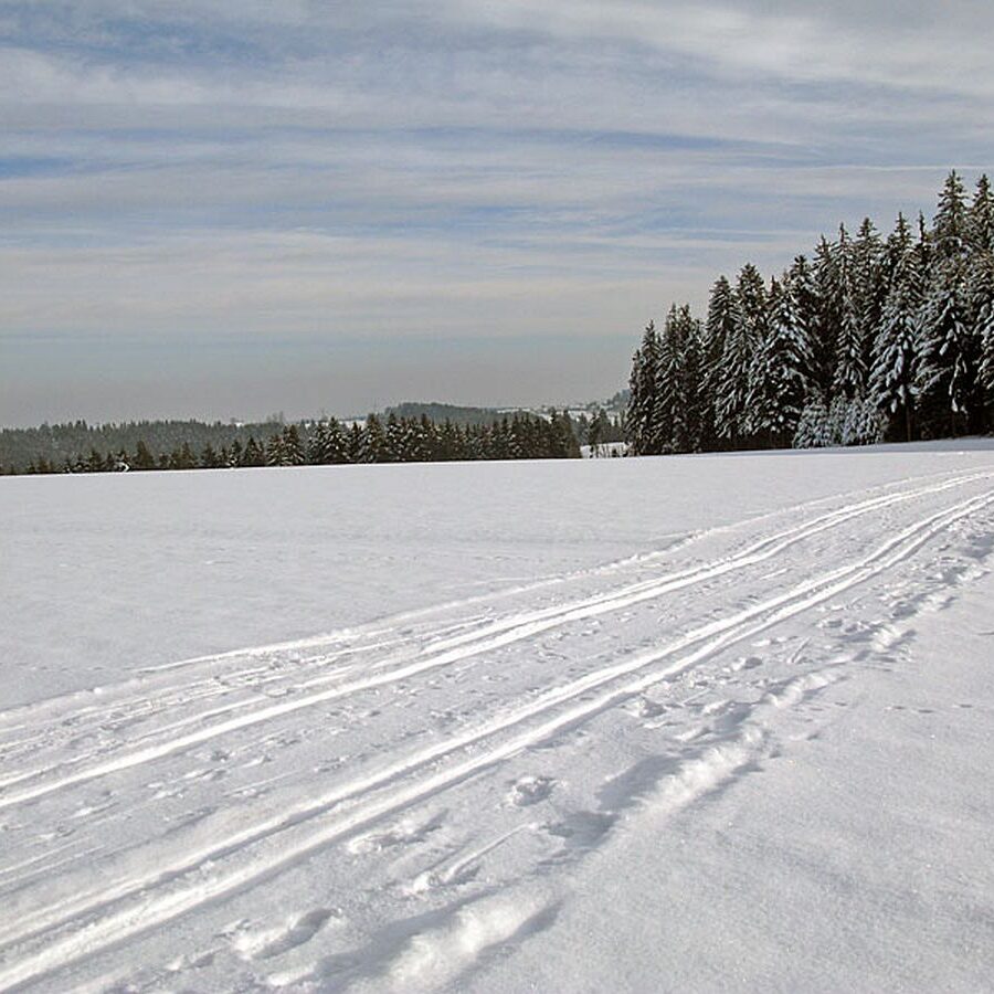 Ramstein Loipe Tennenbronn 4