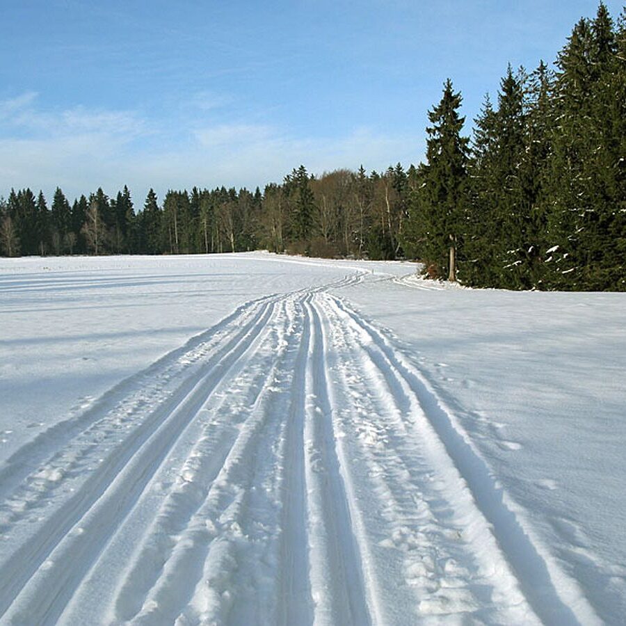 Ramstein Loipe Tennenbronn 5
