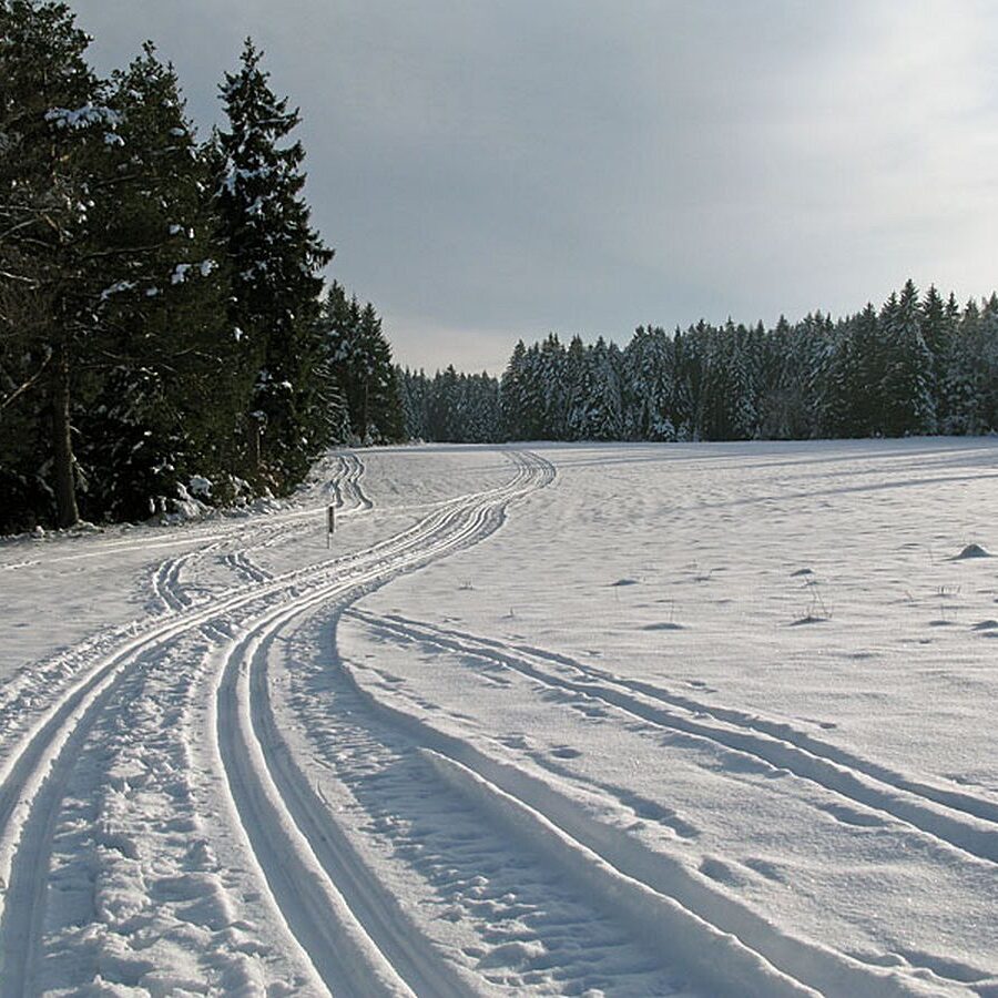 Ramstein Loipe Tennenbronn 6