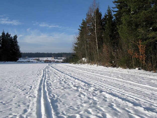 Ramstein Loipe Tennenbronn 8