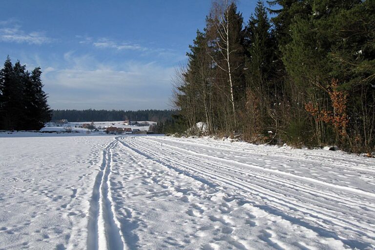 Ramstein Loipe Tennenbronn 8