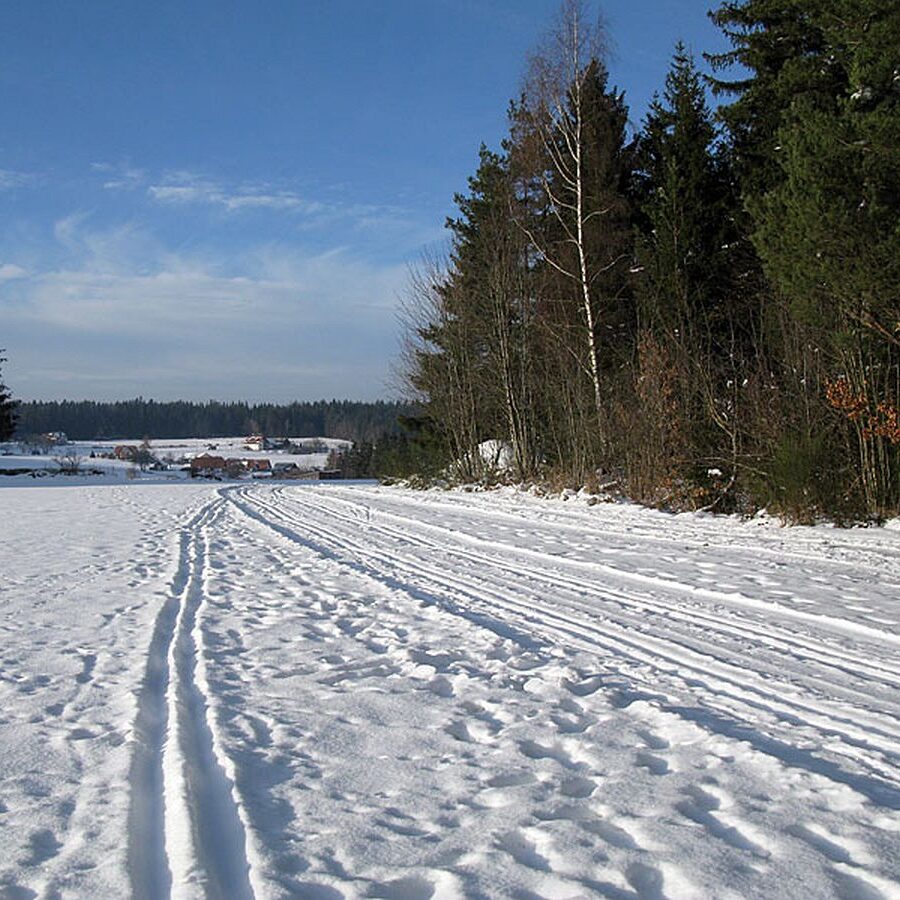 Ramstein Loipe Tennenbronn 8