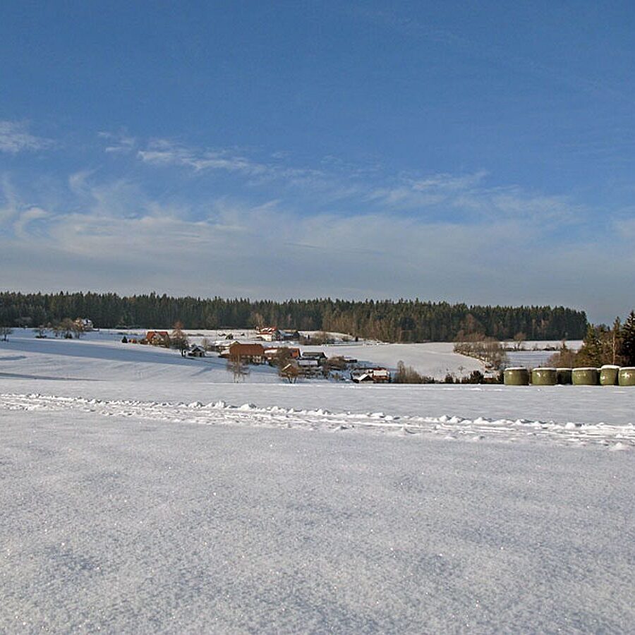 Ramstein Loipe Tennenbronn 9