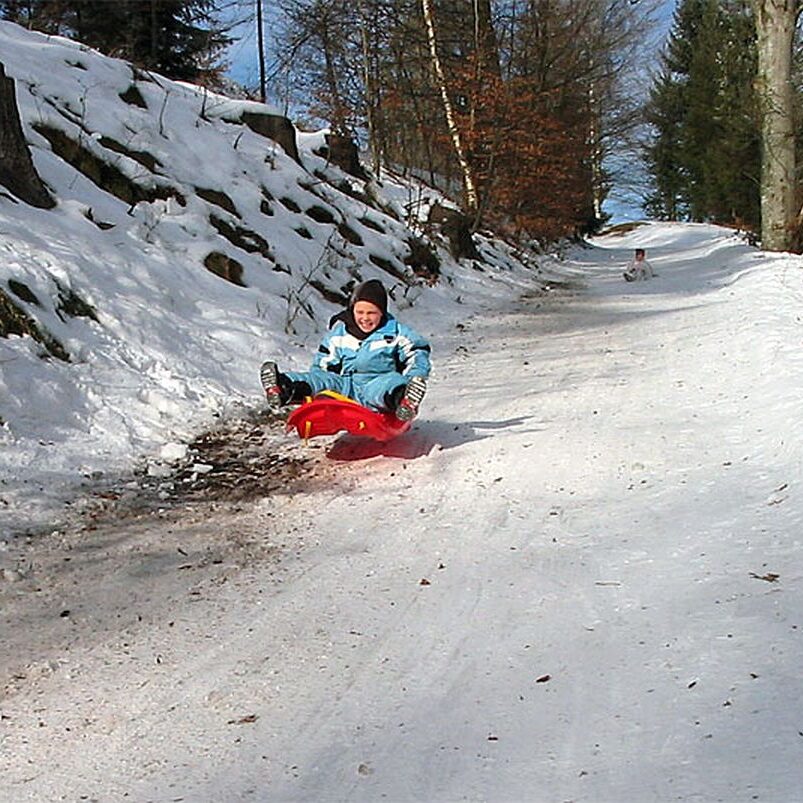 Rodelbahn Tennenbronn 10