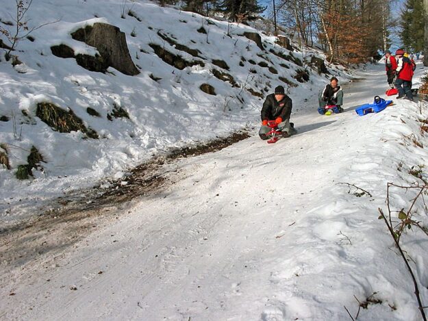 Rodelbahn Tennenbronn 2 Rodelbahn Tennenbronn 2