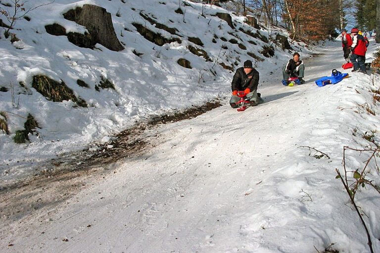Rodelbahn Tennenbronn 2 Rodelbahn Tennenbronn 2