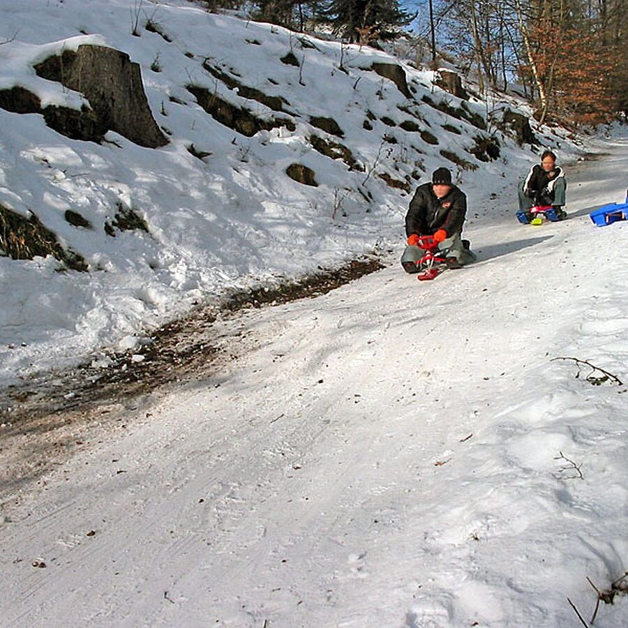 Rodelbahn Tennenbronn 2