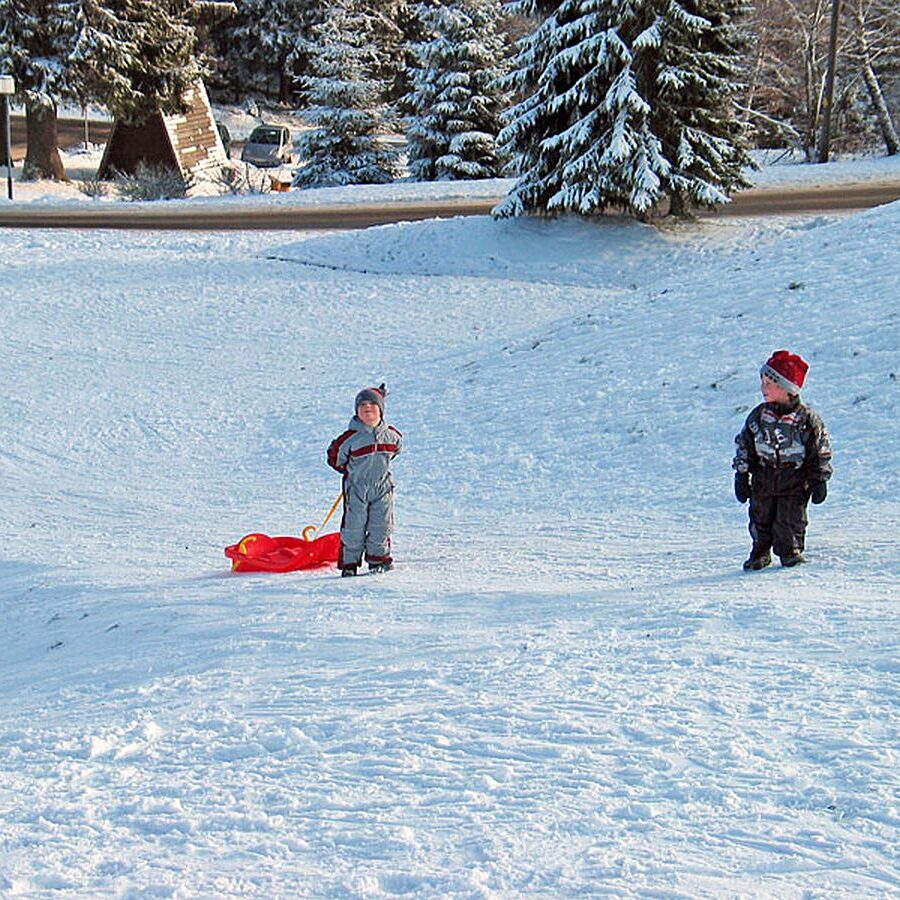 Rodelbahn Tennenbronn 4