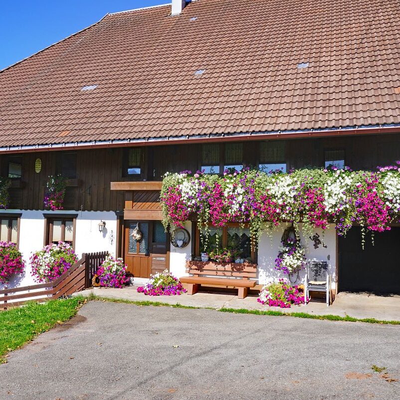 Seppenhof ObererBuur 2