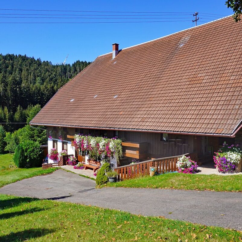 Seppenhof ObererBuur 3