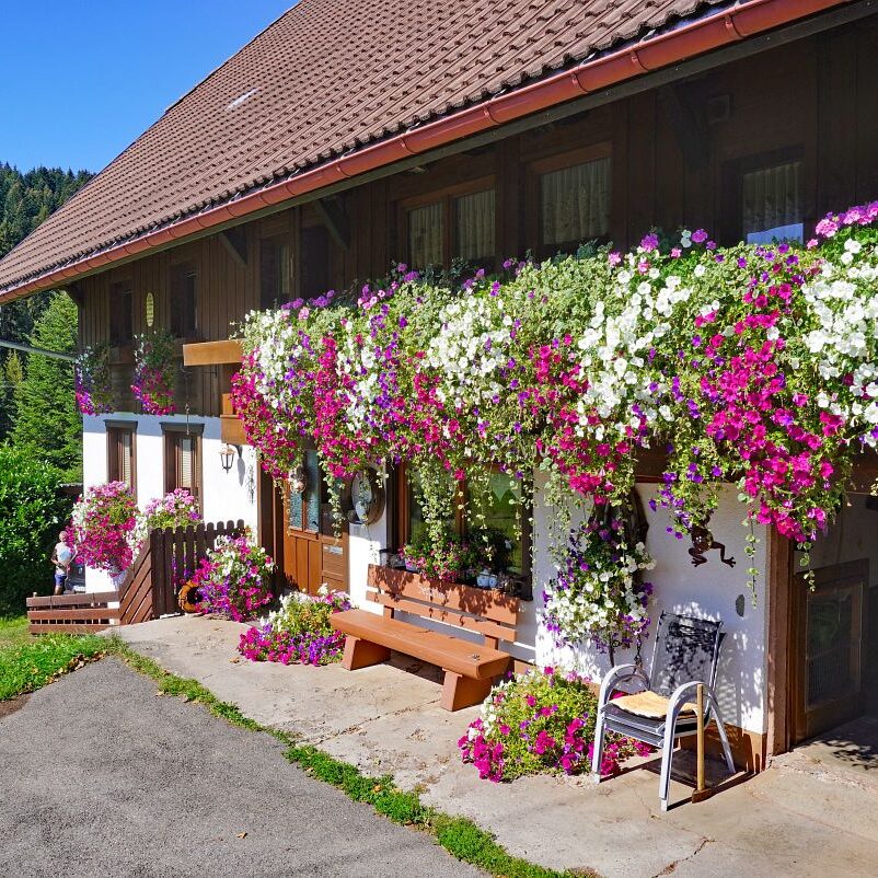 Seppenhof ObererBuur 4