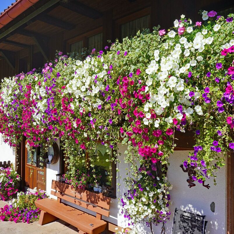 Seppenhof ObererBuur 5