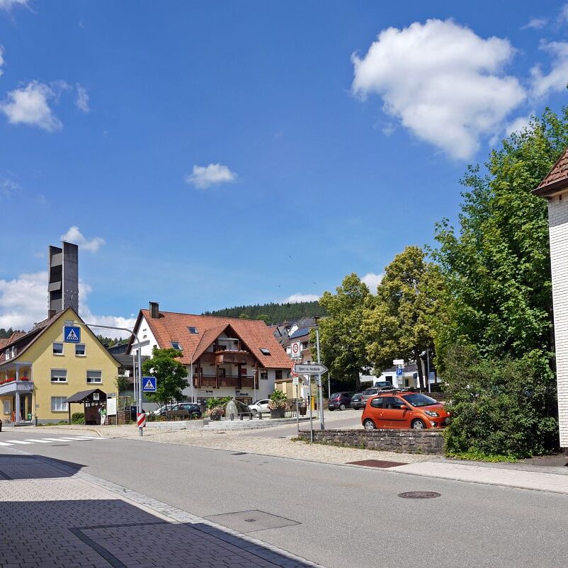 Tennenbronn Dorf 10