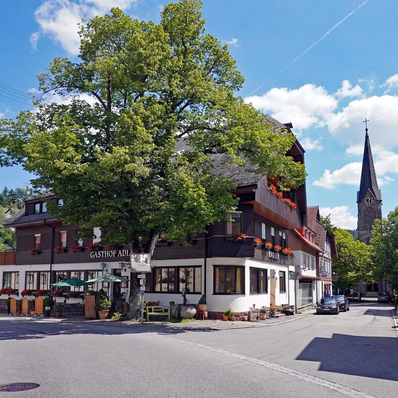 Tennenbronn Dorf 13