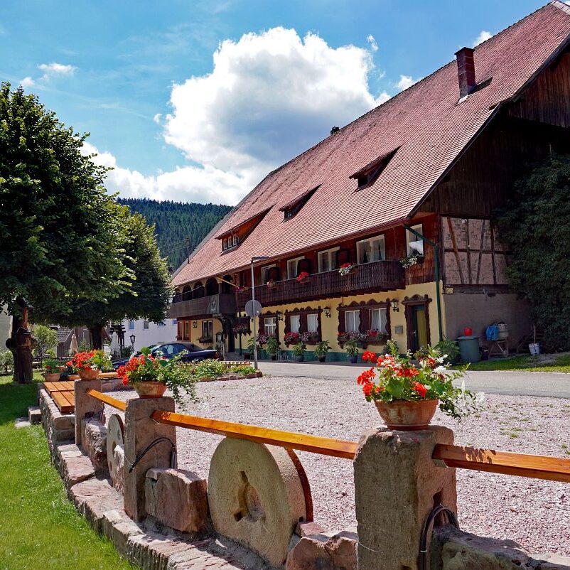 Tennenbronn Dorf 17